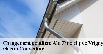 Changement gouttière Alu Zinc et pvc 45300