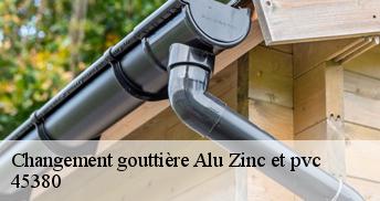 Changement gouttière Alu Zinc et pvc 45380