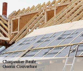 Charpentier baule-45130 Guerin Couverture