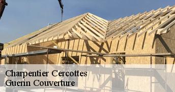 Charpentier 45520