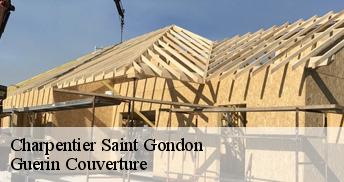 Charpentier 45500