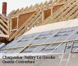 Charpentier teillay-le-gaudin-45480 Guerin Couverture