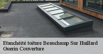 Etanchéité toiture 45270