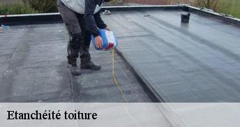 Etanchéité toiture 45300