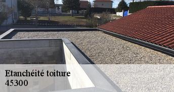 Etanchéité toiture 45300