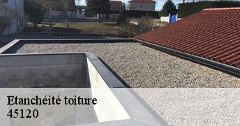Etanchéité toiture 45120