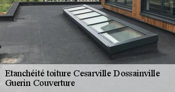 Etanchéité toiture 45300