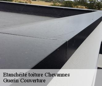 Etanchéité toiture  chevannes-45210 BR COUVERTURE