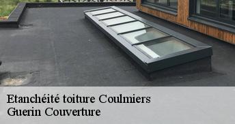 Etanchéité toiture 45130