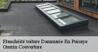 Etanchéité toiture 45420