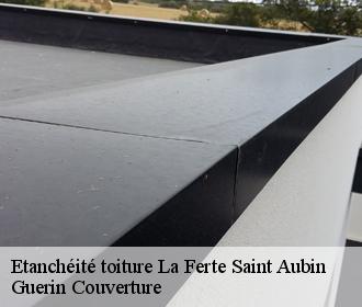 Etanchéité toiture la-ferte-saint-aubin-45240 Guerin Couverture