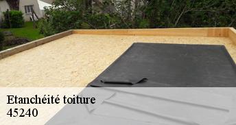 Etanchéité toiture 45240