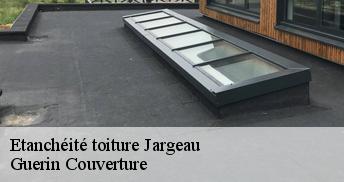 Etanchéité toiture 45150