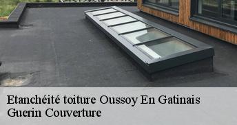 Etanchéité toiture 45290