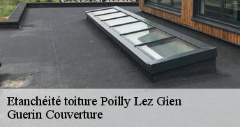 Etanchéité toiture 45500