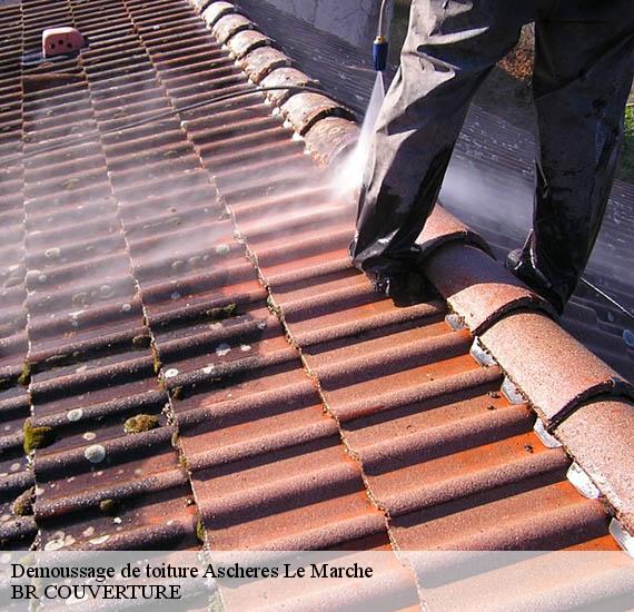 Demoussage de toiture  ascheres-le-marche-45170 BR COUVERTURE