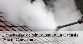 Demoussage de toiture 45340