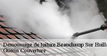 Demoussage de toiture 45270