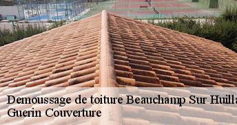 Demoussage de toiture