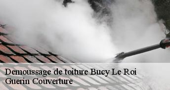 Demoussage de toiture 45410