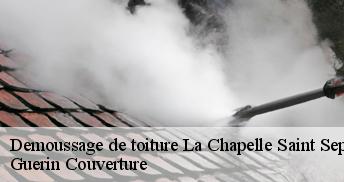 Demoussage de toiture 45210