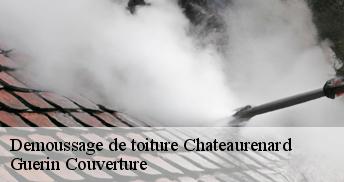 Demoussage de toiture 45220
