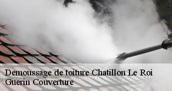 Demoussage de toiture 45480