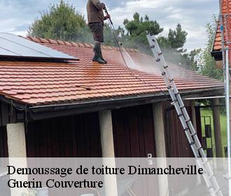Demoussage de toiture dimancheville-45390 Guerin Couverture