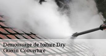 Demoussage de toiture 45370