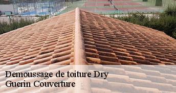 Demoussage de toiture