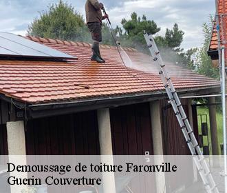 Demoussage de toiture faronville-45480 Guerin Couverture