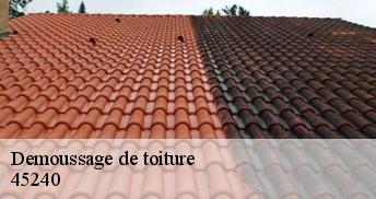 Demoussage de toiture 45240