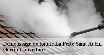 Demoussage de toiture 45240
