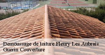 Demoussage de toiture