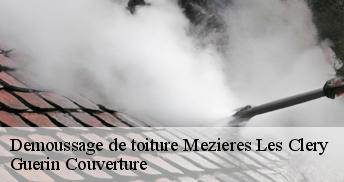 Demoussage de toiture 45370