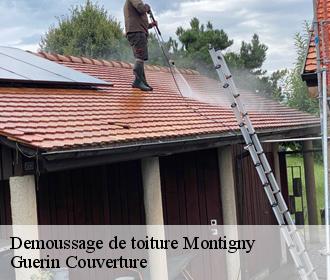 Demoussage de toiture montigny-45170 Guerin Couverture