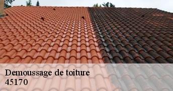 Demoussage de toiture 45170