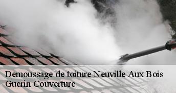 Demoussage de toiture 45170