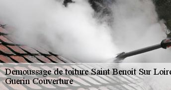 Demoussage de toiture 45730