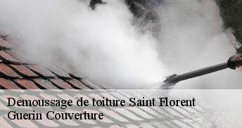 Demoussage de toiture 45600