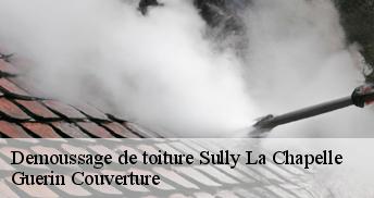 Demoussage de toiture 45450