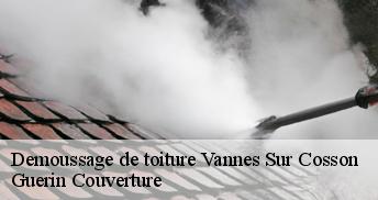 Demoussage de toiture 45510