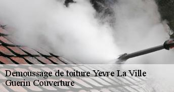 Demoussage de toiture 45300