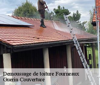 Demoussage de toiture fourneaux-45380 Guerin Couverture