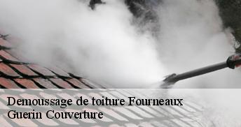 Demoussage de toiture 45380
