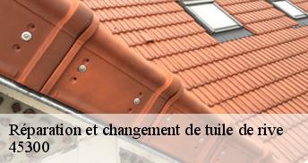 Réparation et changement de tuile de rive 45300