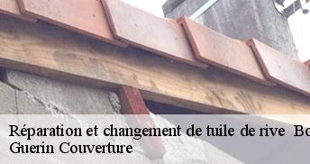 Réparation et changement de tuile de rive