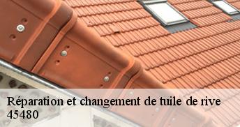 Réparation et changement de tuile de rive 45480