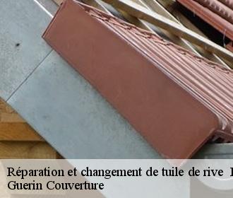 Réparation et changement de tuile de rive la-ferte-saint-aubin-45240 Guerin Couverture