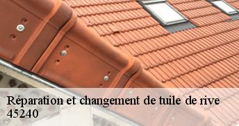 Réparation et changement de tuile de rive 45240